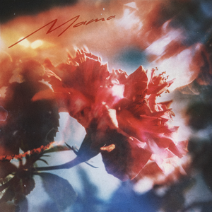 桥本香菜的启蒙教育视频
